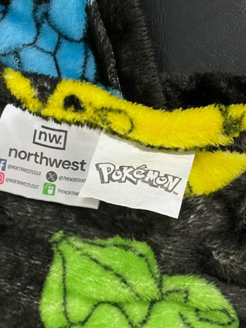 Pokemon Northwest Fully Charged Fleece Blanket 48